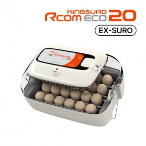 Rcom KINGSURO ECO 20 (manual)